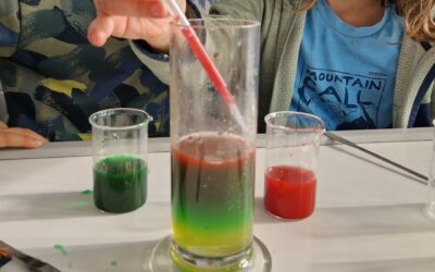 ProMint Projektkurs am RMG